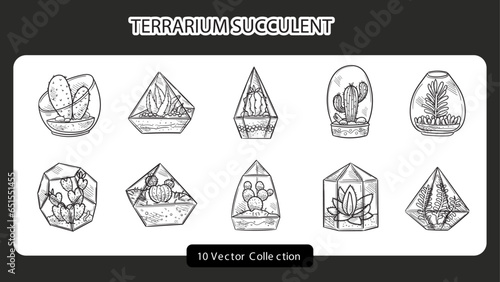 Hand Drawn Terrarium Succulent Set