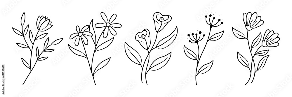 Line art illustration of botanical Element, vector set floral decoration