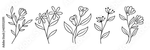 Line art illustration of botanical Element  vector set floral decoration