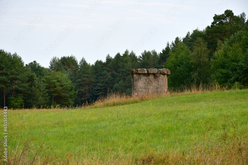 A close up on a path located next to a dense forest or moor with a vast river or lake flowing nearby, next to some rocks, boulders, and stones, as well as remnants of WWII bomb shelters and bunkers