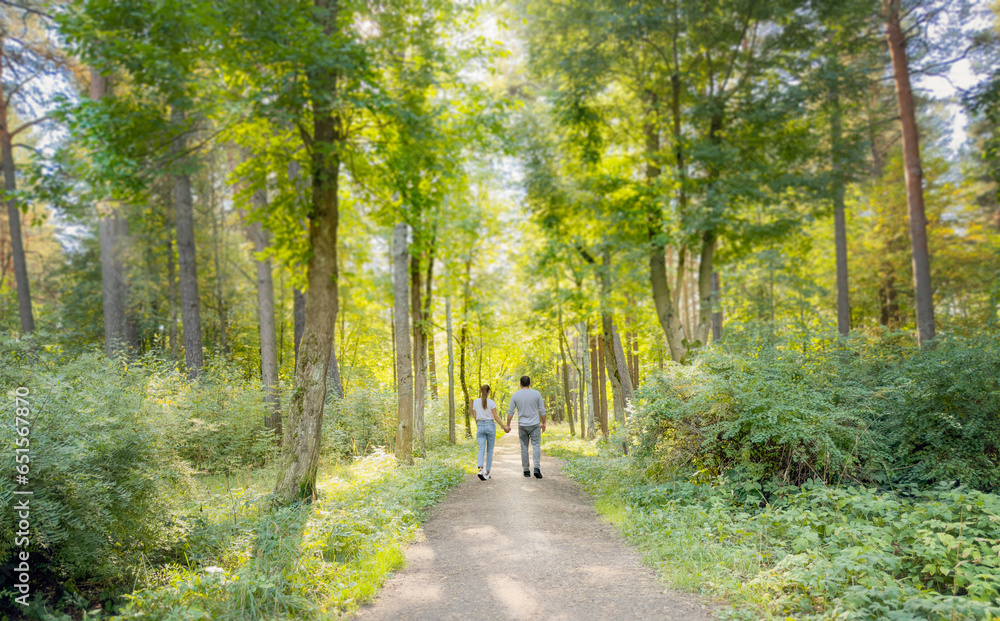 Two people. A man and a woman are walking along a forest road, holding hands. View from the back. A couple, happy people. A shadow. Summer. Autumn day. Outdoors. In the forest.