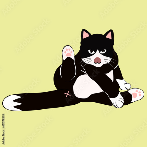vector illustration graphic of a cat cleaning itself with tongue out, siamese, tuxedo cat, calico, outline