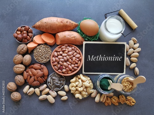 Methionine rich foods. Assortment of natural food sources of methionine, an essential amino acid. Healthy diet and nutrition concept. Nuts, seeds, spirulina powder, milk, egg, sweet potato, soy, beans photo