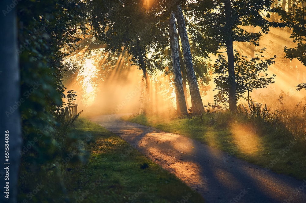 Misty Street on late summer morning. High quality photo Misty Street on late summer morning. High quality photo
