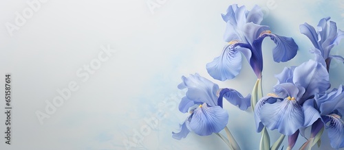 Iris flower with blue petals against a isolated pastel background Copy space photo