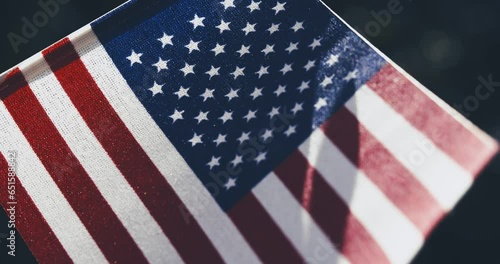 Close up of miniature American flag