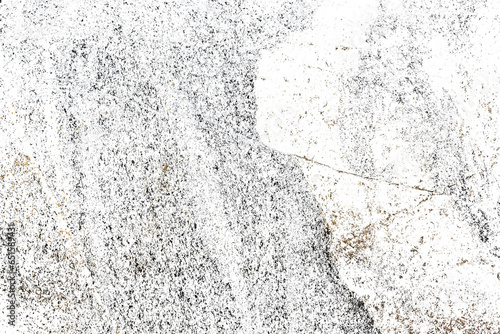 Porous illustration with transparent background.