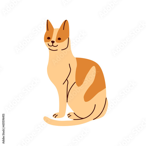 Cute funny domestic animal or pet. Adorable sitting kitty or pussycat.