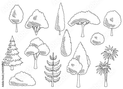 Plant set graphic garden bush black white side view isolated illustration vector 