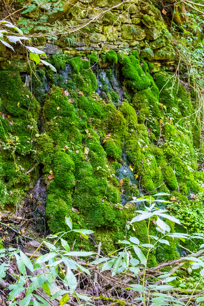 Old rock in the woods covered with moss