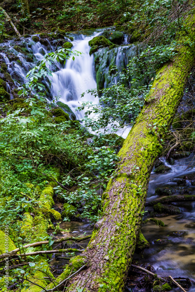 Small waterfall in the woods