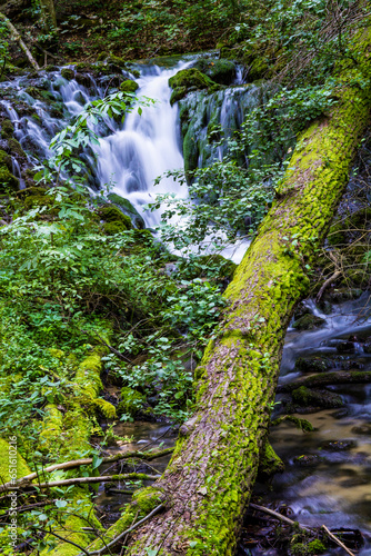 Obraz na płótnie Small waterfall in the woods w salonie