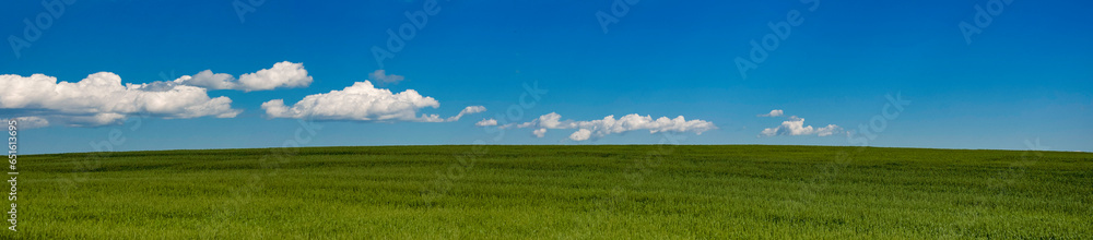 panoramic field horizon view.