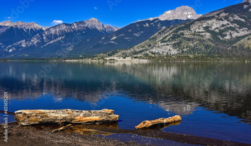 Logs on mountain lake beach