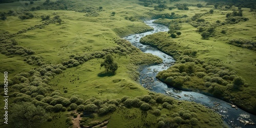 AI Generated. AI Generative. Amazing aerial drone view nature outdoor forest field meadow with river and birds in the sky. Adventure landscape background