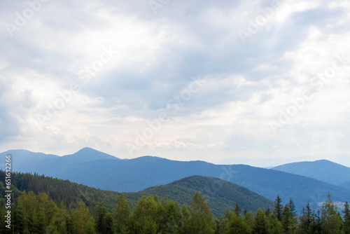 Mountain Forest, With Tall Trees and White Clouds, a Feeling of Blissful Happiness Permeates the Air