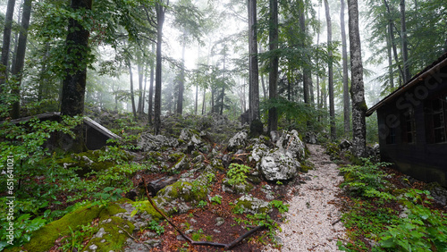 Baza 20 musuem in a misty forest in Kočevski Rog, Slovenia. photo