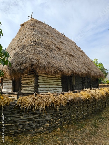 A hut with straws in front of it