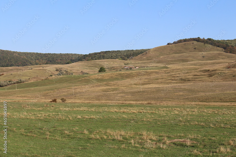A grassy field with hills in the background
