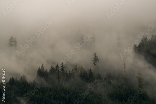 misty landscape in the mountains at a rainy autumn day