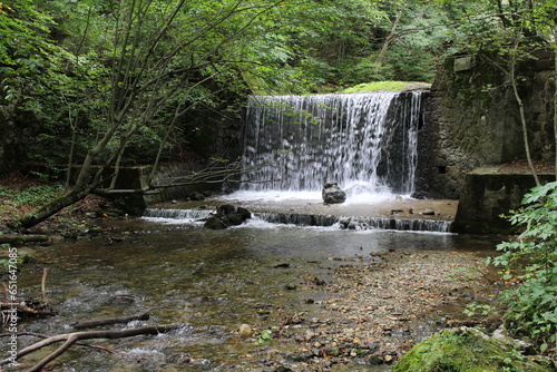 Fototapeta Naklejka Na Ścianę i Meble -  A waterfall in a forest
