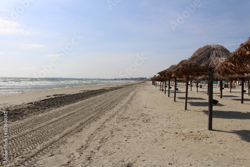 A beach with straw umbrellas and poles