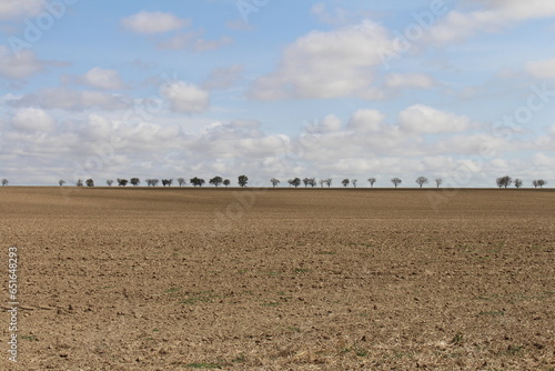 A large field with a group of trees in the background