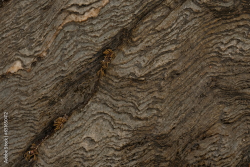Rock texture on the scottish coast