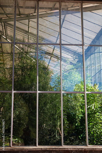 greenhouse with flowers.greenhouse building.growing tropical and exotic plants.many plants and greenery.glass transparent facade. design.landscaping.oasis in the city.large glass greenhouse with plant © Daria