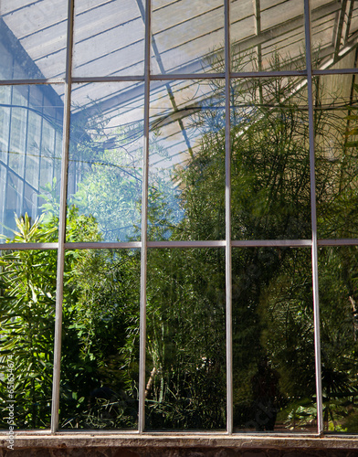 greenhouse with flowers.greenhouse building.growing tropical and exotic plants.many plants and greenery.glass transparent facade. design.landscaping.oasis in the city.large glass greenhouse with plant