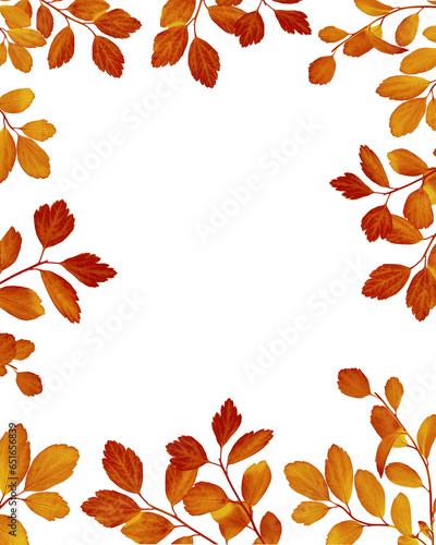 A frame made of autumn leaves. Autumn leaves vertical frame isolated on white background. Element for creating collage or design  postcards  wedding cards and invitations.