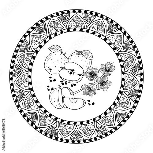 Vector mandala frame with apples for adult coloring book, cornice mandala vettoriale con mele da colorare per libro adulti