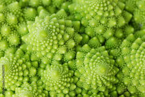 Green romanesco cauliflower close-up