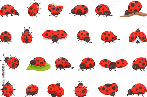 Ladybug icons set cartoon vector. Bug insect. Animal wing