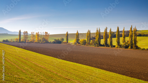 Autumn sunny rural landscape with a row of colored trees. The Turiec region of Slovakia, Europe. photo