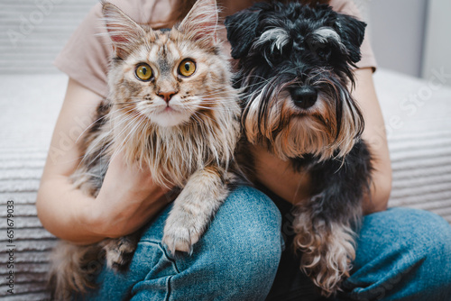 dog and a cat in the hands of their owner
