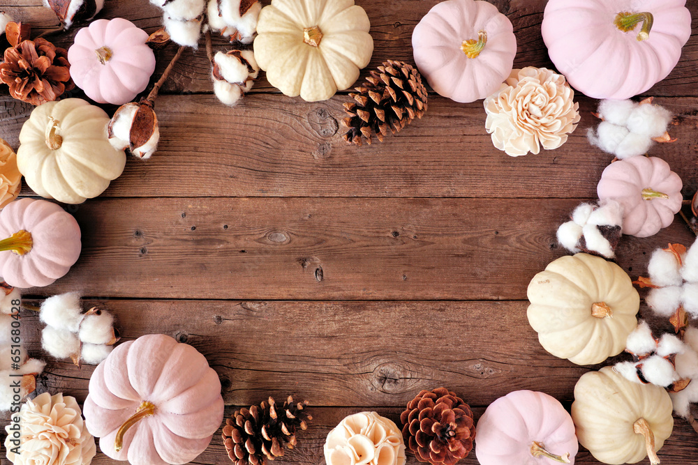 Autumn frame of dusty rose and white pumpkins with natural decor. Top view over a dark wood background. Copy space.