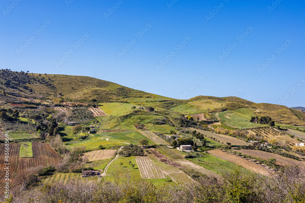 Fototapeta premium Landscape with vineyards in the province of Marsala on the island of Sicily