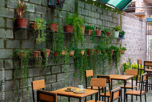 Restaurante con postres en la mesa y acompañado con muchas plantas en la pared en macetas photo