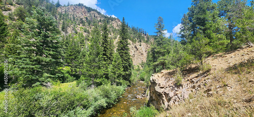 A scenic view of a creek running through Carson National Forest in Taos, New Mexico.