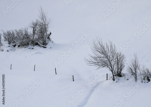 Natural winter background. Snow covered meadow. photo