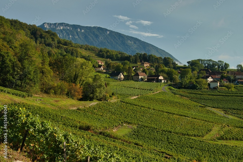 Landschaft bei Jongieux in Savoie in Frankreich