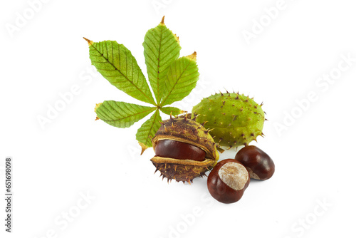 Chestnut with leaves. Isolated on white background.