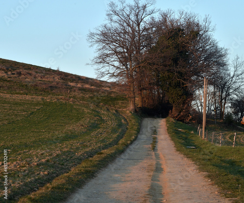 montée de chemin en campagne à la tombée du jour