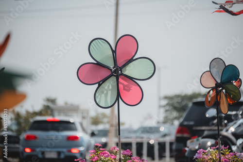 flower pinwheel © Thacher Andreae
