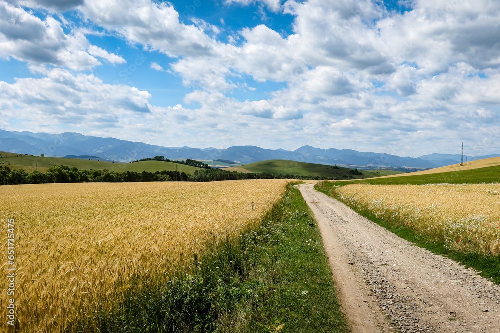 Walking trail leading through the fields in Liptov, Slovakia Walking trail leading through the fields in Liptov, Slovakia