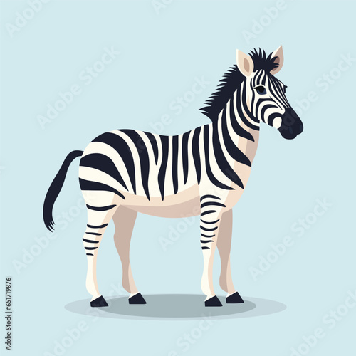  A simple zebra illustration