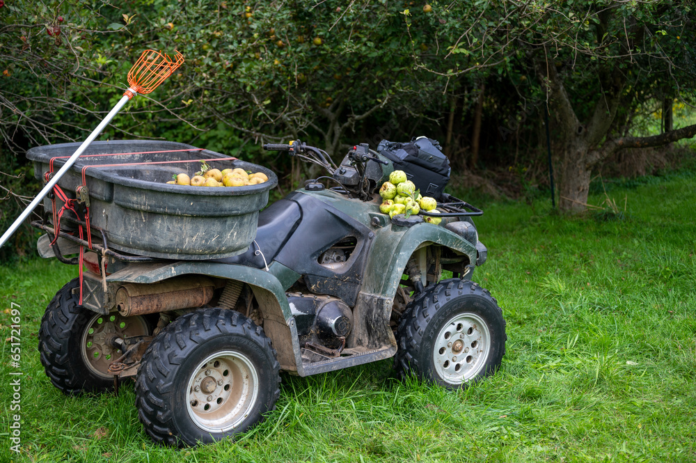 Fototapeta premium Apple picker and harvested apples in off road farm vehicle