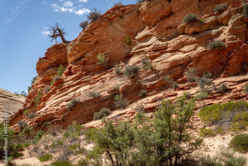 landscape, travel, zion, canyon, utah, hike, hiking, sky, park, national, view, mountain, rock, scenic, wild, valley, outdoor, peak, nature, natural, trail, sandstone, tourism, cliff, usa, river, suns