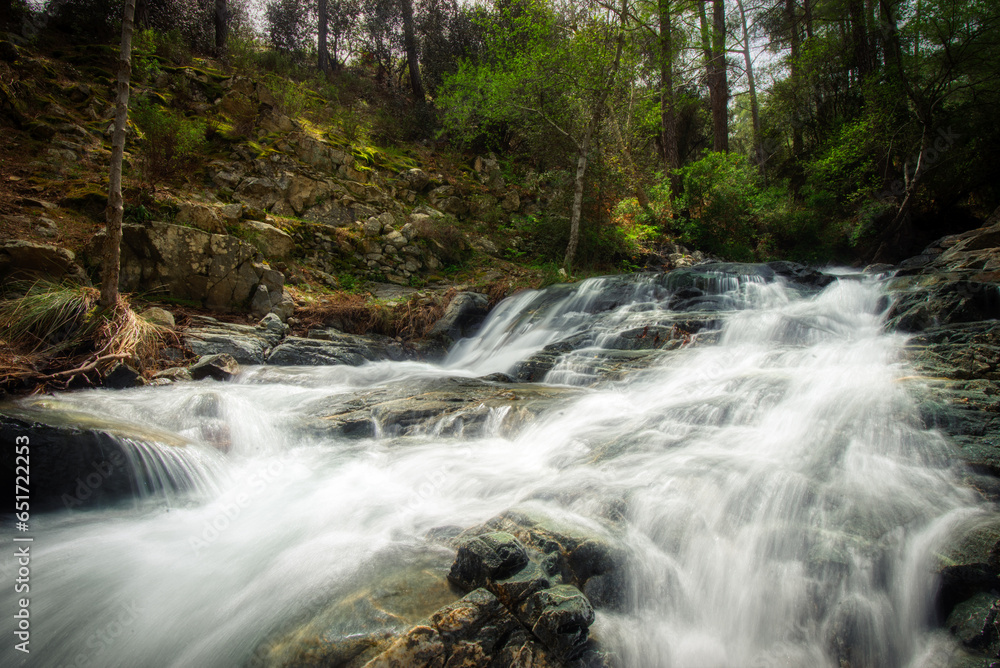 Obraz premium waterfall in the forest
